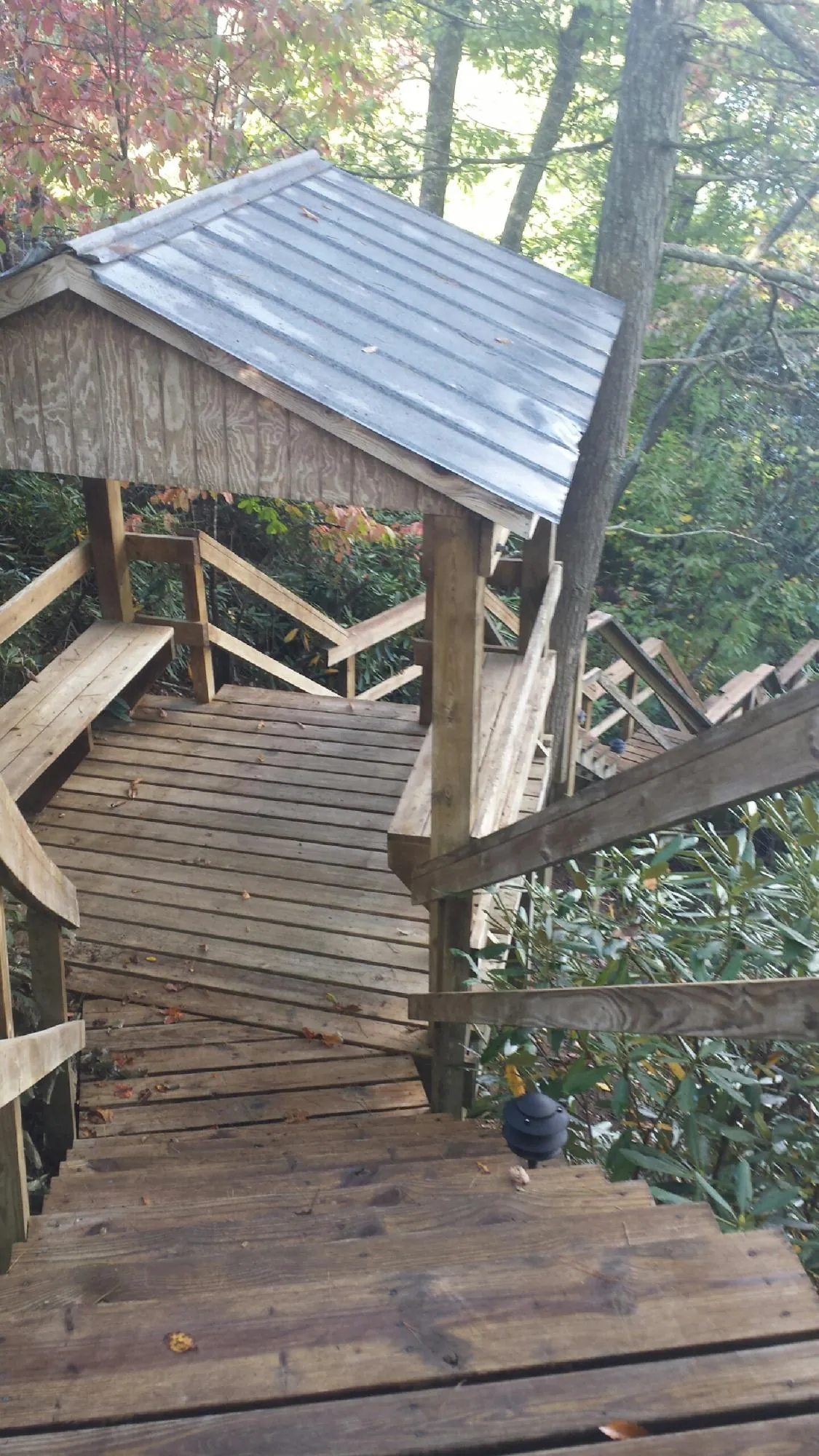 Metal roofed shelter over wooden steps on a wooded walkway — Skylight Repair & Installation work by our crew in Hildebran